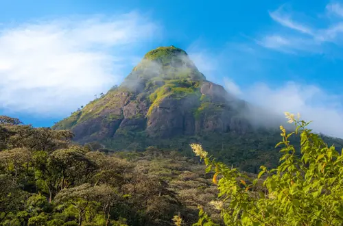 Adam's Peak