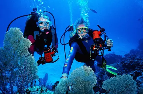 Diving Trincomalee