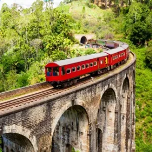 Nine Arches Demodara Bridge - places to visit november