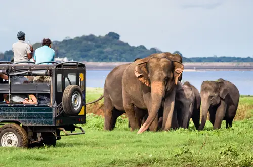 Yala National Park