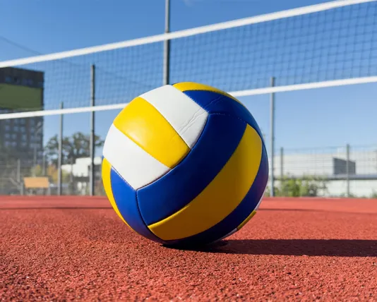 Sri Lanka National Sport