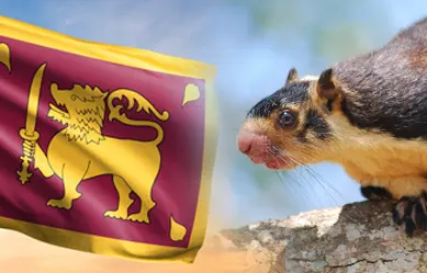 What is the animal on the Sri Lanka flag?